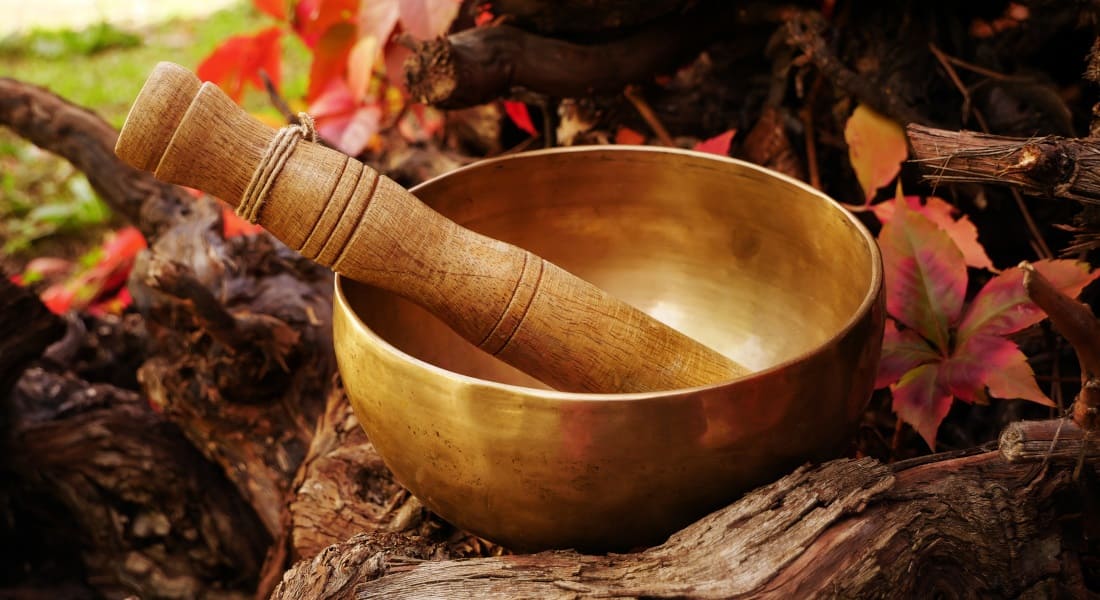A Tibetan singing bowl resting on a branch