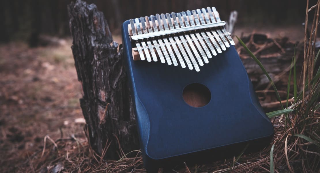 A blue kalimba in the woods
