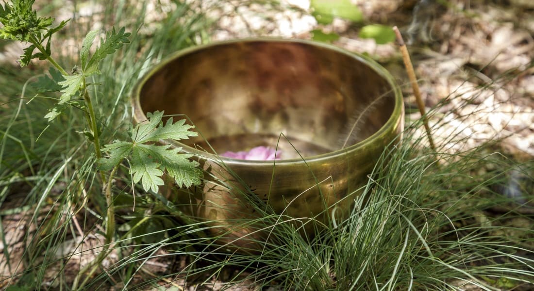 A Tibetan singing bowl placed in the grass