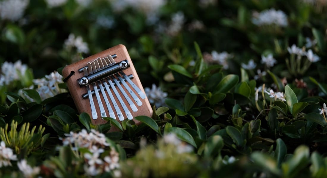 An 8-tine kalimba lying on the grass