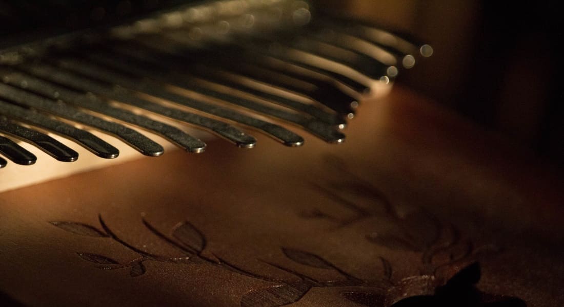 Close-up of the tines and soundboard of a wooden kalimba