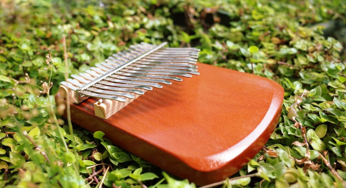 A diatonic kalimba lying in the grass