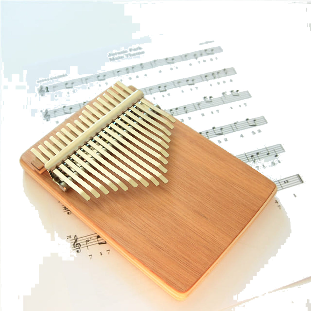 Kalimba France presentation