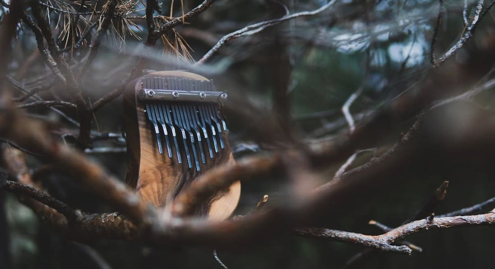 A kalimba perched on the branches of a tree