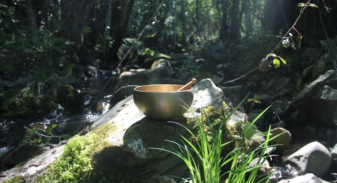 A metal Tibetan singing bowl placed on a rock in the forest