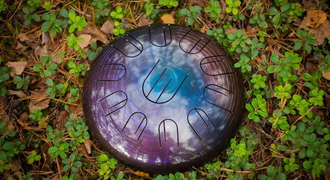 A purple tongue drum in the grass