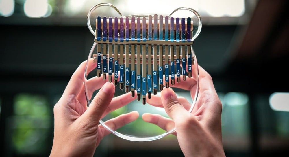 Two hands holding a bear-shaped acrylic kalimba