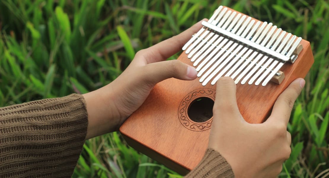 Two hands holding a kalimba with grass in the background