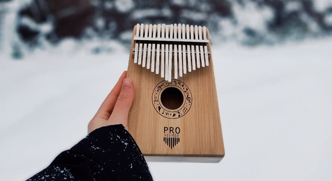 View of a kalimba with misaligned tines