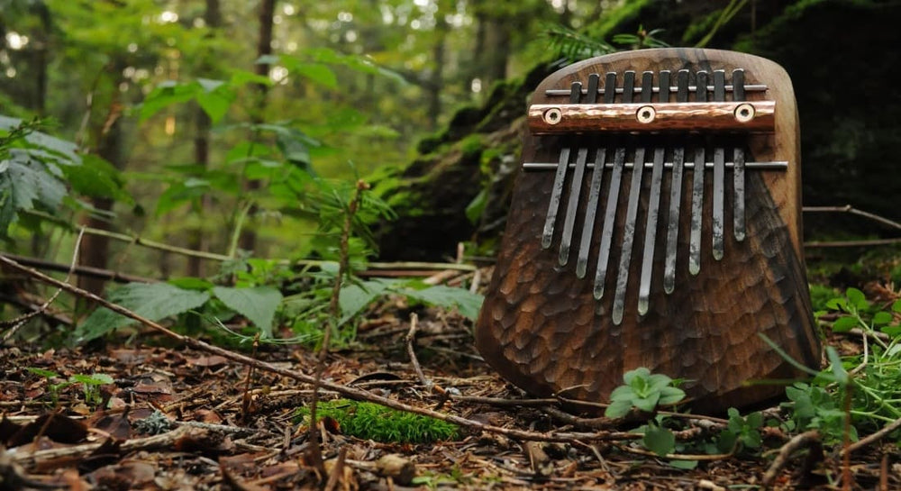 A wooden kalimba in the forest on the ground