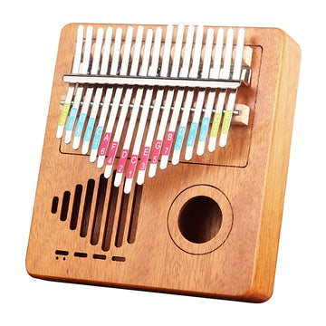 Mbira instrument