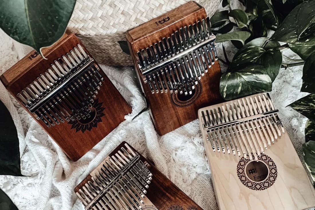 Notre avis sur les kalimbas Meinl