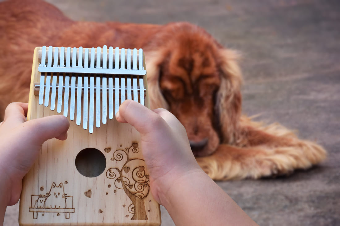 Pourquoi jouer du kalimba ? Quels en sont les bienfaits ?