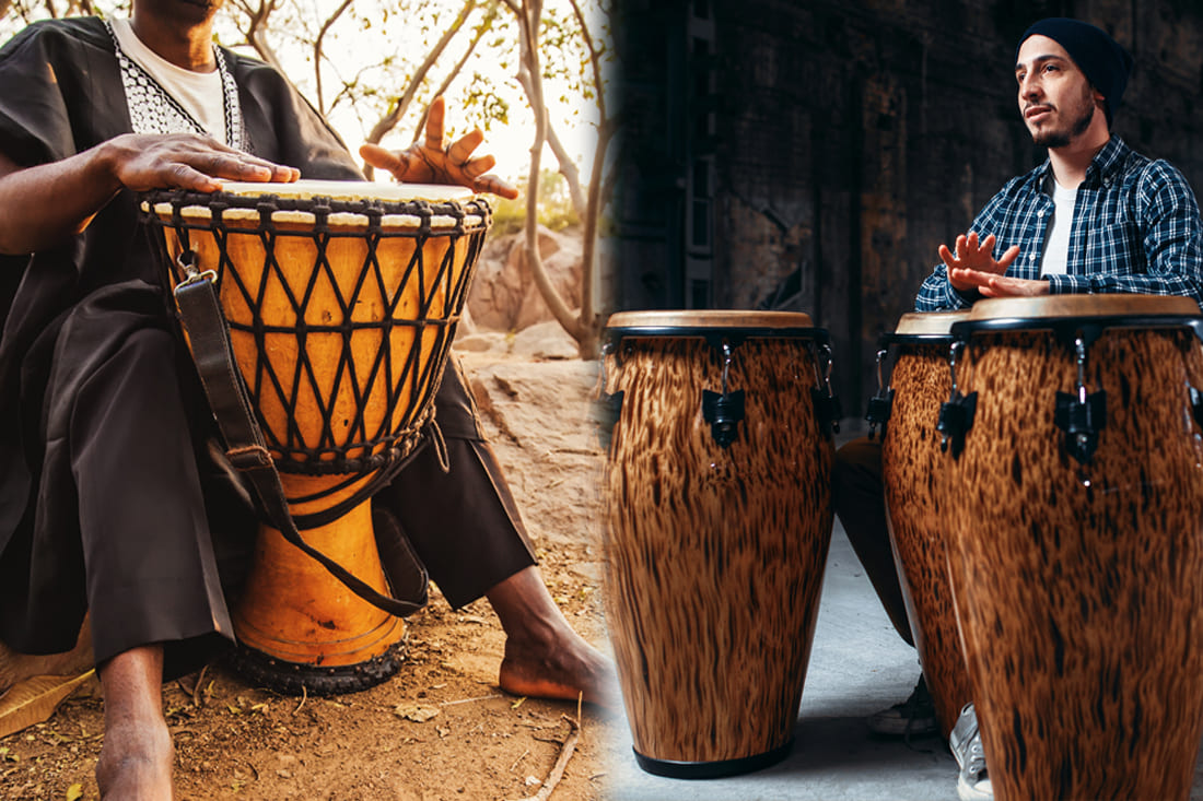 Quelles sont les Différences entre un Conga et un Djembé ?