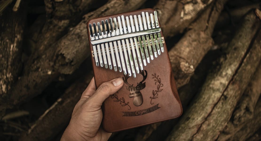 A hand holding a kalimba in a forest