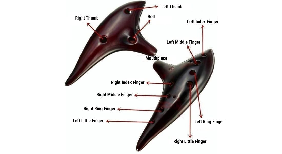 An ocarina front and back with its parts labeled