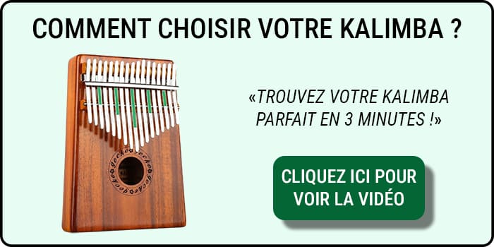 Bannière pour savoir comment choisir son Kalimba desktop