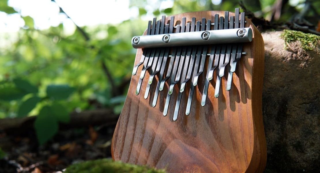 A chromatic kalimba on the ground in the forest