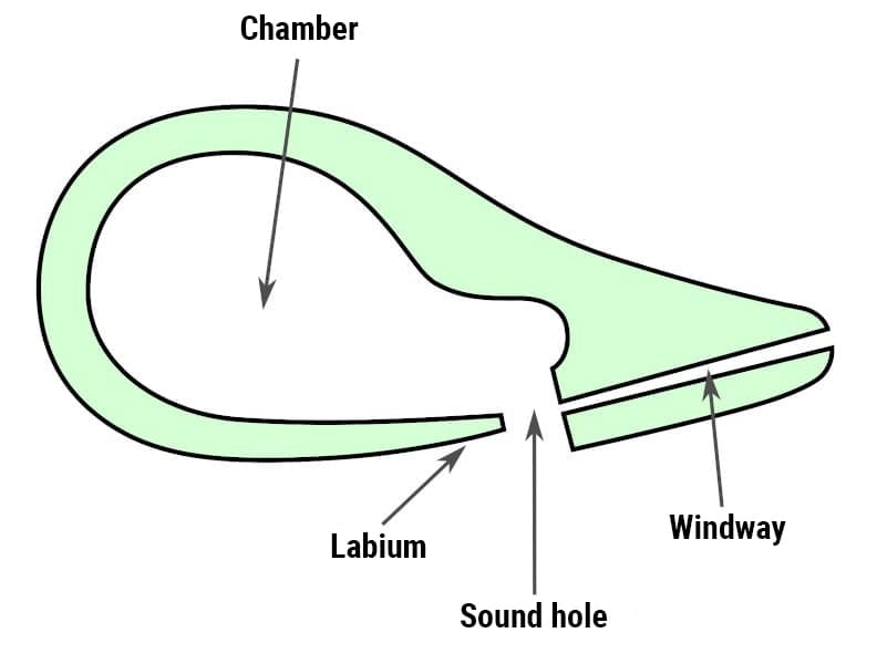 Cross-section view of an ocarina