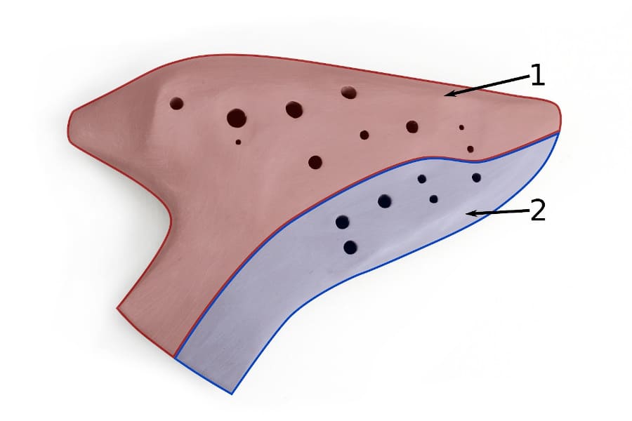 Diagram showing how a multi-chamber ocarina works