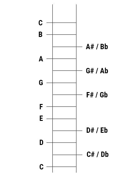 Scale of diatonic and chromatic notes