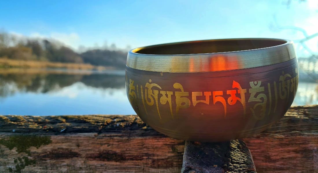 An engraved Tibetan singing bowl on a tree trunk