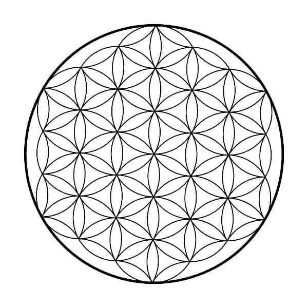 Flower of life symbol