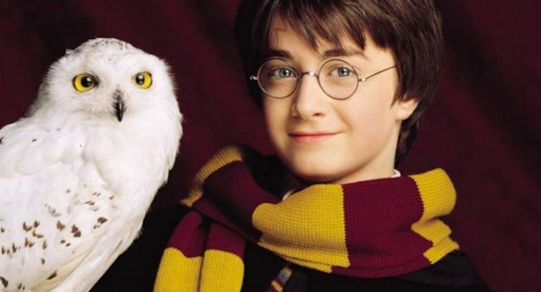 Harry Potter with his owl Hedwig