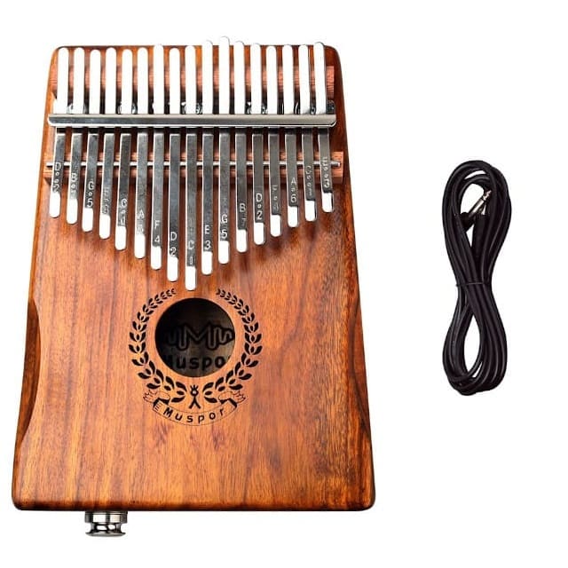 Kalimba amplifié