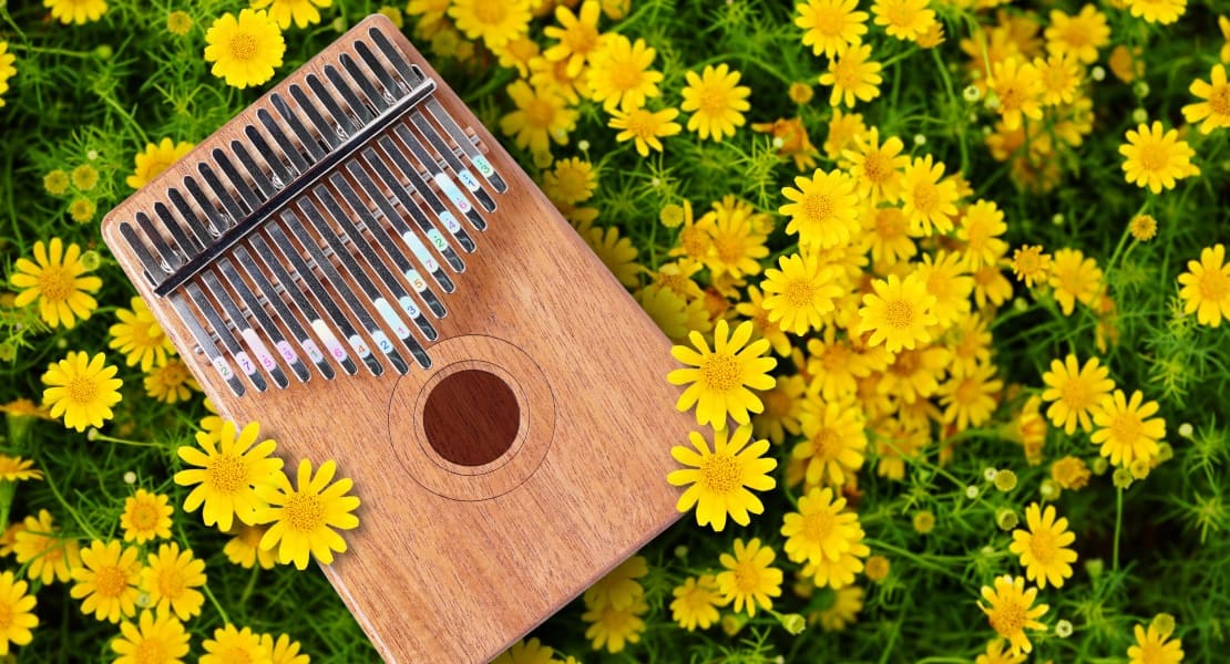 A kalimba lying in the grass with golden flowers