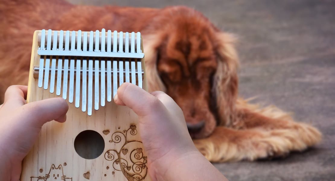A kalimba player lulling his dog to sleep