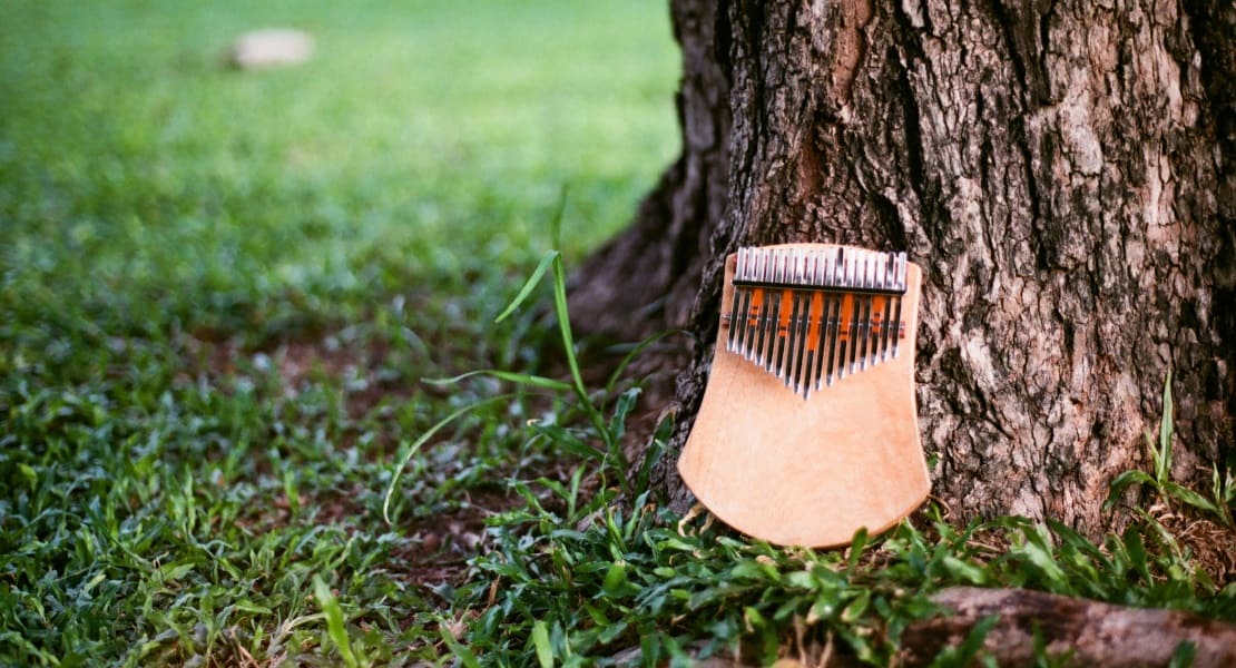 A wooden kalimba leaning against a tree