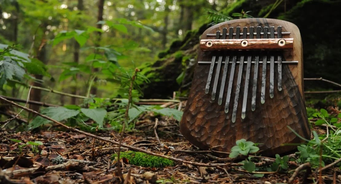 A wooden kalimba without a sound box on the ground in the forest