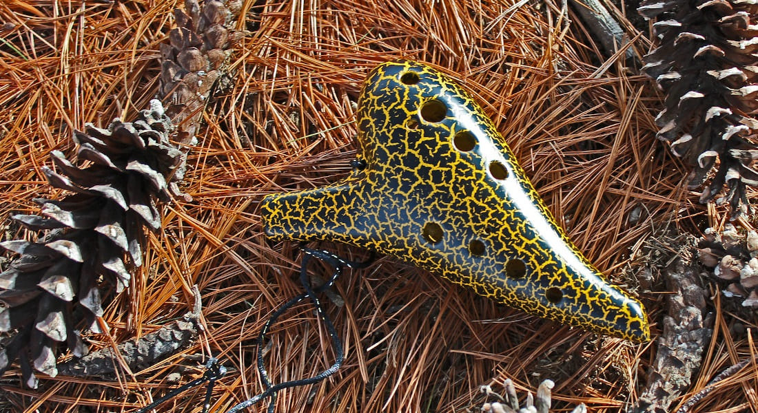 A yellow and black ocarina resting on pine needles